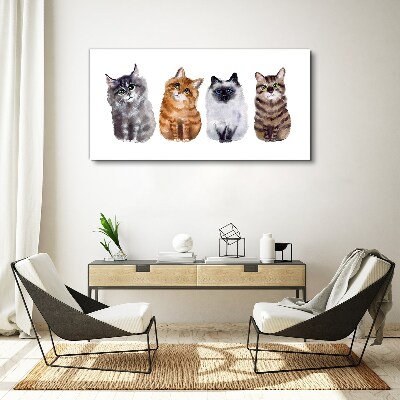 Foto auf leinwand Katzen in verschiedenen Schattierungen