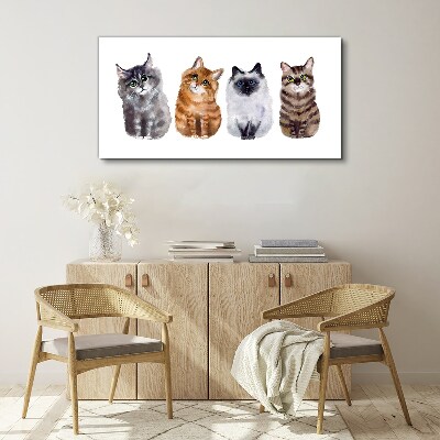 Foto auf leinwand Katzen in verschiedenen Schattierungen