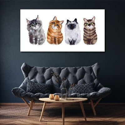 Foto auf leinwand Katzen in verschiedenen Schattierungen