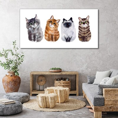 Foto auf leinwand Katzen in verschiedenen Schattierungen