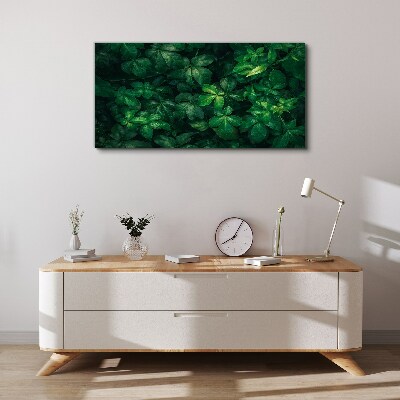 Foto auf leinwand Grünes Blätterdickicht