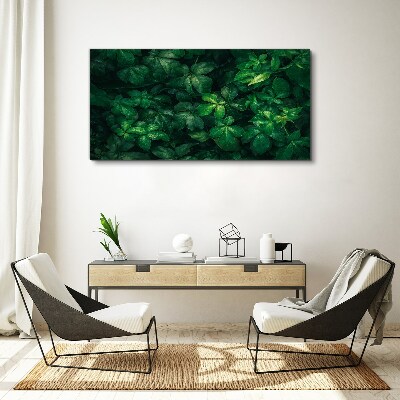 Foto auf leinwand Grünes Blätterdickicht
