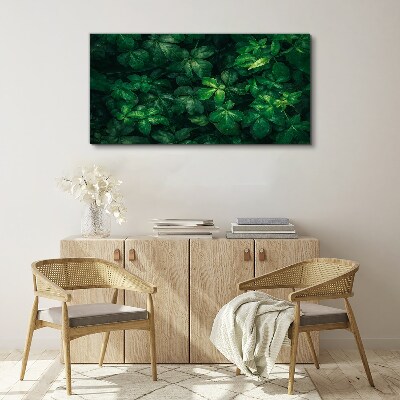 Foto auf leinwand Grünes Blätterdickicht