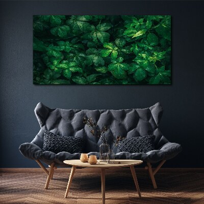 Foto auf leinwand Grünes Blätterdickicht