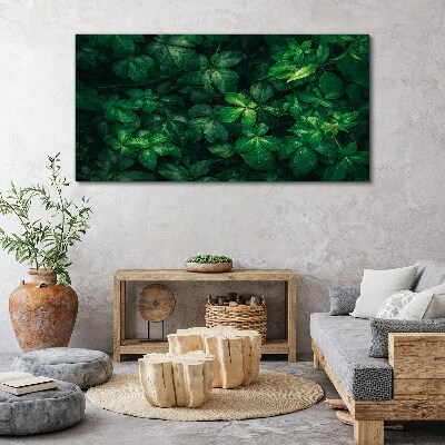 Foto auf leinwand Grünes Blätterdickicht