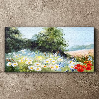 Foto auf leinwand Sommerwiesen in voller Blüte