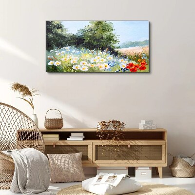 Foto auf leinwand Sommerwiesen in voller Blüte