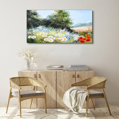 Foto auf leinwand Sommerwiesen in voller Blüte