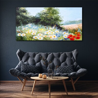 Foto auf leinwand Sommerwiesen in voller Blüte