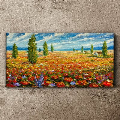 Foto auf leinwand Eine Blumenwiese in der Sommersonne