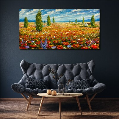Foto auf leinwand Eine Blumenwiese in der Sommersonne
