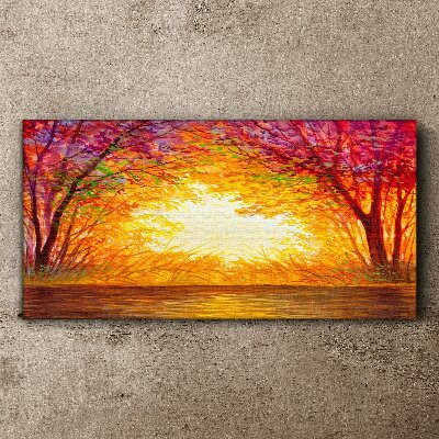 Foto leinwand Sonnenuntergang in einem bunten Wald