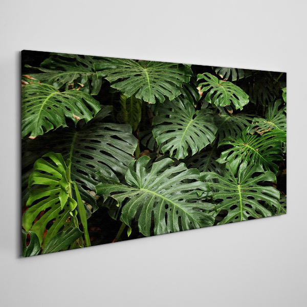 Bild auf leinwand Tropische Monstera-Blätter