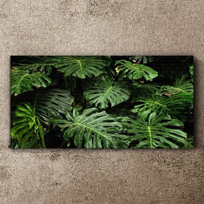Bild auf leinwand Tropische Monstera-Blätter