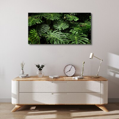 Bild auf leinwand Tropische Monstera-Blätter
