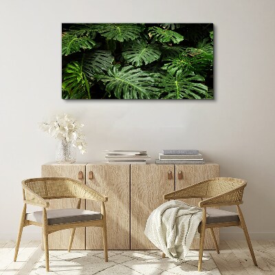 Bild auf leinwand Tropische Monstera-Blätter