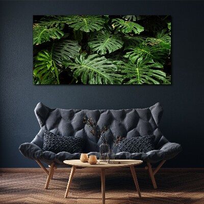 Bild auf leinwand Tropische Monstera-Blätter