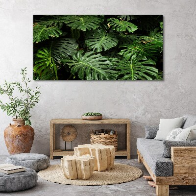 Bild auf leinwand Tropische Monstera-Blätter