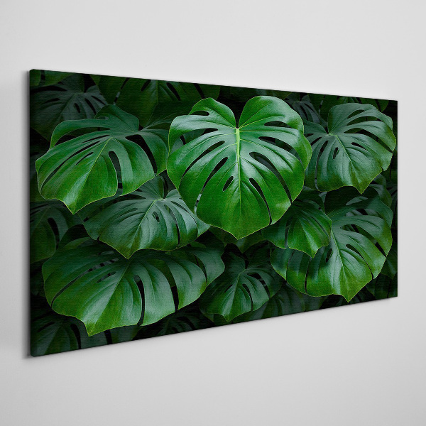 Foto auf leinwand Grüne Symphonie aus Monstera-Blättern