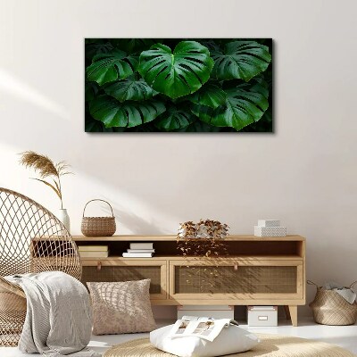 Foto auf leinwand Grüne Symphonie aus Monstera-Blättern