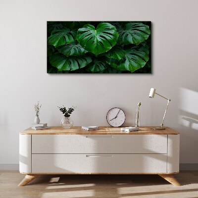 Foto auf leinwand Grüne Symphonie aus Monstera-Blättern