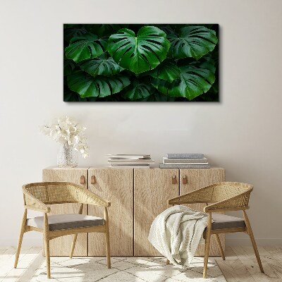Foto auf leinwand Grüne Symphonie aus Monstera-Blättern