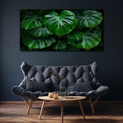 Foto auf leinwand Grüne Symphonie aus Monstera-Blättern