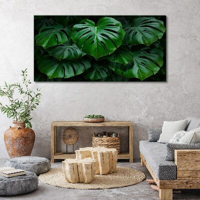 Foto auf leinwand Grüne Symphonie aus Monstera-Blättern