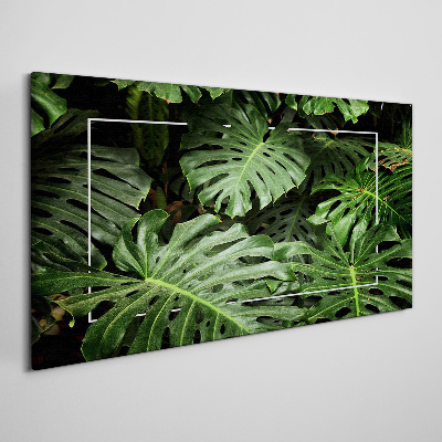 Foto auf leinwand Grüner Dschungel