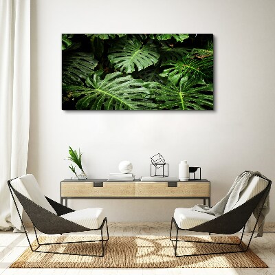Foto auf leinwand Grüner Dschungel