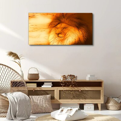 Foto leinwand Goldener Löwe in abstrakter Form
