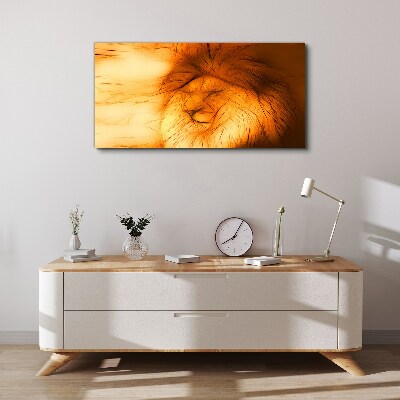 Foto leinwand Goldener Löwe in abstrakter Form