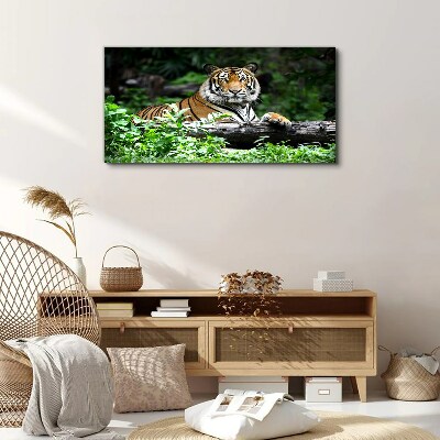 Foto auf leinwand Tiger im grünen Wald