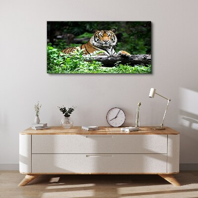 Foto auf leinwand Tiger im grünen Wald