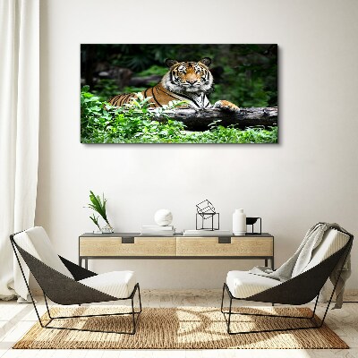 Foto auf leinwand Tiger im grünen Wald