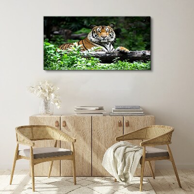 Foto auf leinwand Tiger im grünen Wald