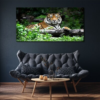 Foto auf leinwand Tiger im grünen Wald