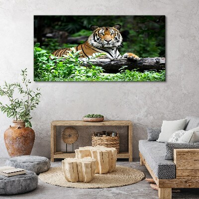 Foto auf leinwand Tiger im grünen Wald