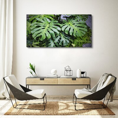 Foto auf leinwand Grüne Monstera-Blätter in der Natur
