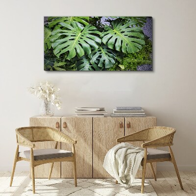 Foto auf leinwand Grüne Monstera-Blätter in der Natur