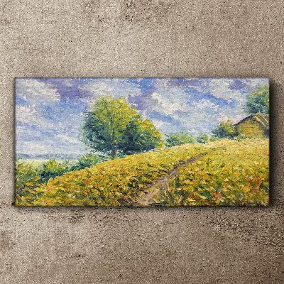 Foto auf leinwand Sommerliche Feldlandschaft