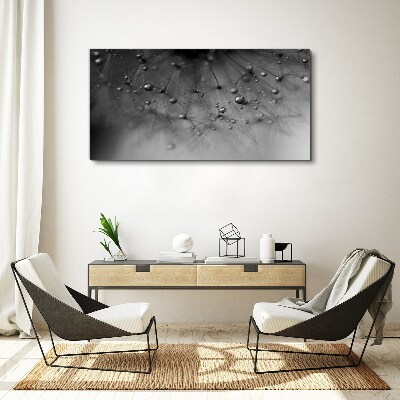Foto auf leinwand Tautropfen auf einem Löwenzahn