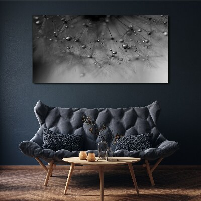 Foto auf leinwand Tautropfen auf einem Löwenzahn
