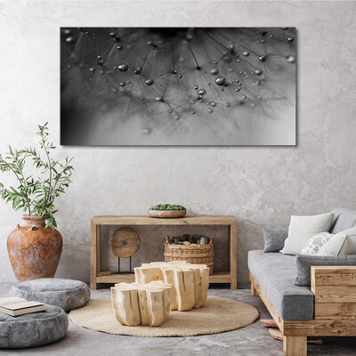Foto auf leinwand Tautropfen auf einem Löwenzahn