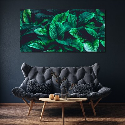 Foto auf leinwand Grüne Blättersymphonie