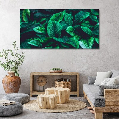Foto auf leinwand Grüne Blättersymphonie