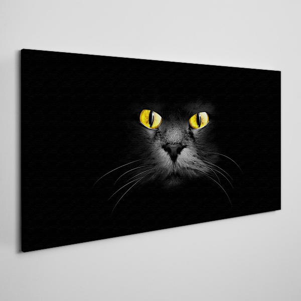 Foto auf leinwand Goldene Augen einer Katze im Schatten