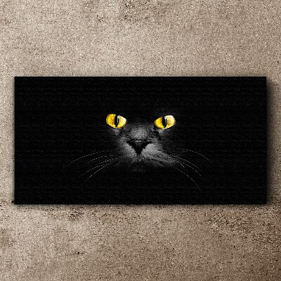 Foto auf leinwand Goldene Augen einer Katze im Schatten