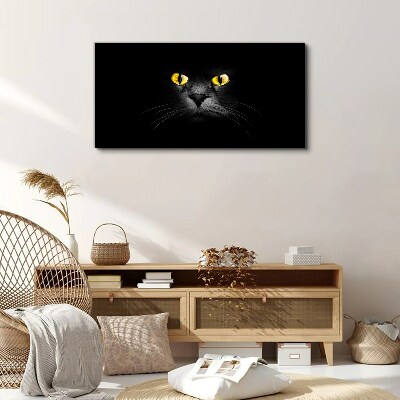 Foto auf leinwand Goldene Augen einer Katze im Schatten