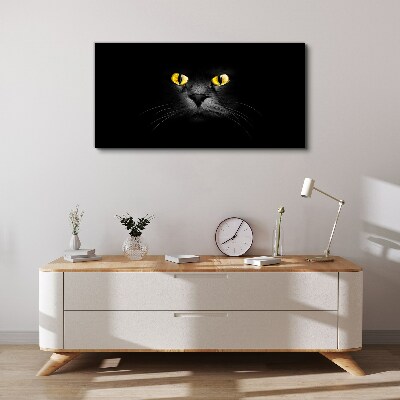 Foto auf leinwand Goldene Augen einer Katze im Schatten